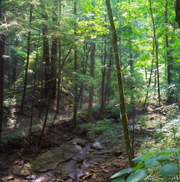 01_Red River Gorge_ June 18_ 2010.jpg